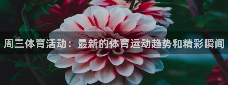 米兰体育报