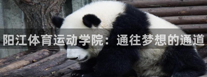 米兰体育报