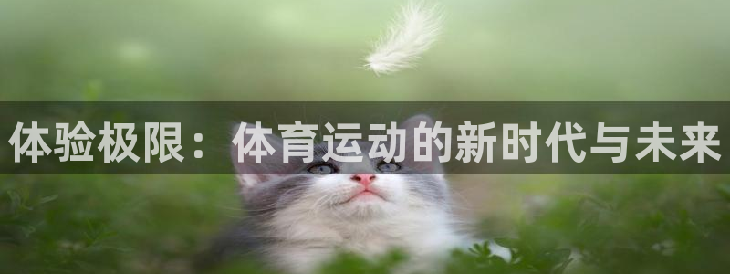 米兰体育在线
